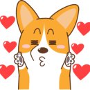 심토닥토닥송정점 이미지