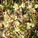 명자농장 이미지