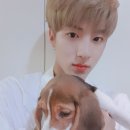 해피댕댕이 이미지