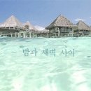 오늘자 대통령 후보 토론회를 본 우리들의 모습 이미지