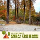 장태산농장 | [대전 장태산자연휴양림] 단풍캠핑 장태산야영장 캠핑 주차장 예약 후기