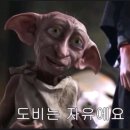 (주)인턴