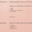 사라장 바이올린 리사이틀 | [관람 후기] 사라 장 바이올린 리사이틀 공연 후기