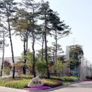 주향쿠키