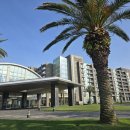 해비치관광호텔 | 제주도 태교여행 이그제큐티브 오션뷰 '해비치호텔' (내돈내산)