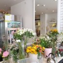 꽃보다 이쁘개 이미지