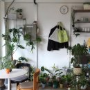 봉방2길 21, (봉방동) 이미지