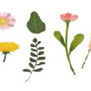 청암공인중개사사무소 이미지