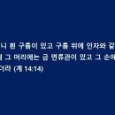 송이로 티스토리
