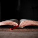 우신반점 | 사도행전 35장