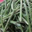 와동농장 이미지