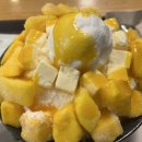 설빙인천서 | 설빙 인천청라점 애플망고치즈설빙 후기｜순연유·인절미·팥 토핑 추가해 먹어본 리얼 리뷰