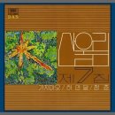 김창완 (산울림) - 청춘 (1981년) 이미지