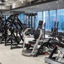 호휘트니스 이미지