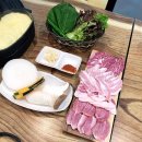 시민도야지