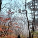 10월29일 성남 산우애 산악회 정기산행~설악산 대청봉 이미지