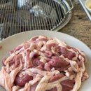 가나안농장 | [일산 맛집] 세계 최대 오리 요리 전문점, ‘가나안덕’ 애니골 본점 솔직 후기