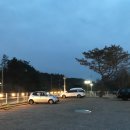 해안도로캠핑 | |포항 데이트| 포항캠프닉 포라카이 캠프닉 장비 없이 즐긴 캠린이들의 포항캠핑 후기