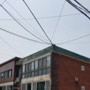 장미연립 나동 이미지