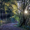 우리재활의학과의원 이미지