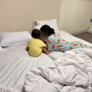거제도 키즈풀빌라 [헤이풀빌라] 내돈내산 솔직후기