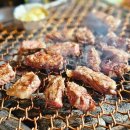 산책길(반려동물 미용실) 이미지