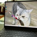 엘지 울트라 pc 엣지 16인치 새학기 가성비 노트북 추천 + 프리도스 윈도우설치 (16UD70R-HX56K)