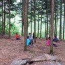 산새소리물새소리 이미지