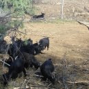 현태농장 이미지