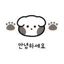 캄비오 캠핑장 이미지