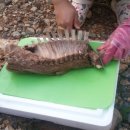 산들염소농장 이미지