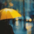 우산수영장 이미지