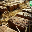 솔뫼유기농업영농조합법인 이미지