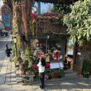 수향 | 우전(乌镇） 서책 수향마을 후기