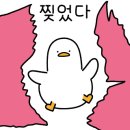 케이잡화점