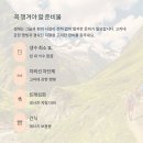 크레이터