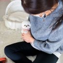 화이트켄넬(white-kennel) 이미지