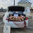 금란동물병원 | 서울 꽃집 추천 꽃시절 업체 정보 후기