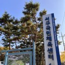 생활체육공원로 이미지