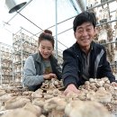 내탐마을 이미지