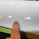 키다리광택 이미지