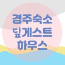 딮 게스트하우스 | 경주 여행 가성비 숙소 딮게스트하우스 장담점 후기