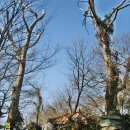 남해-268 이미지