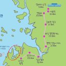 중왕뻘낙지