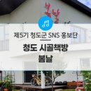 시골책방봄날 이미지