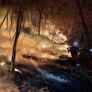 대원수산식품 이미지