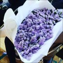 도담동_도담고등학교 이미지