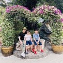 황호농장 | 아이동반 태국가족여행 파타야 악어농장 추천.입장료,이용팁 알려드려요.