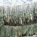 덕장농장 이미지