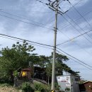 구정중앙로 이미지